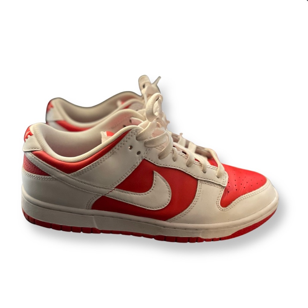 Mens Nike Dunks